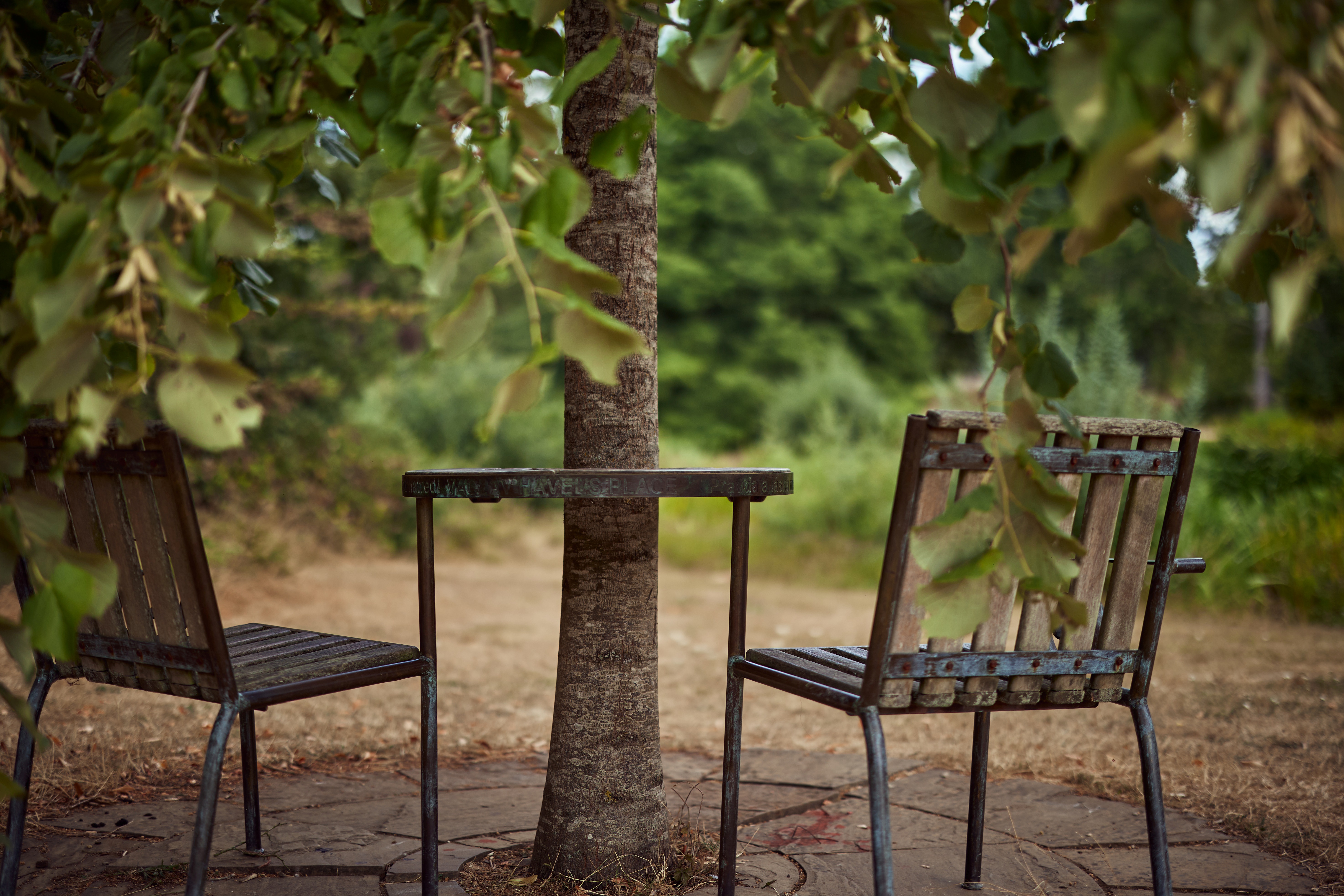 Havels Place in the Parks - two chairs placed either side of a tree