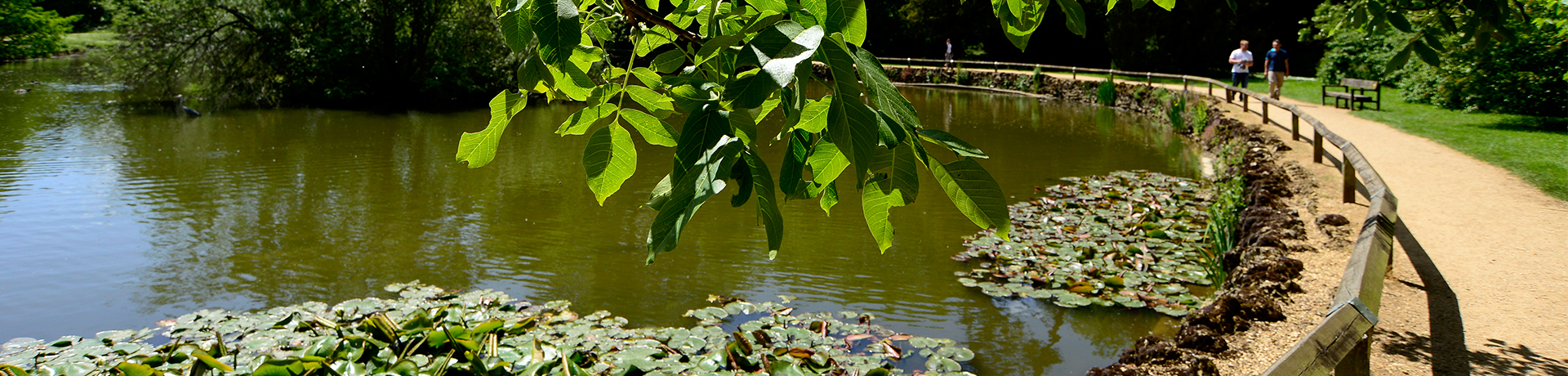 Pond and waterways