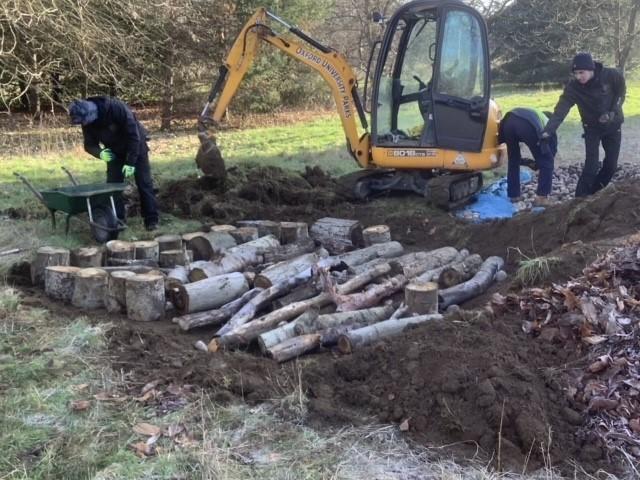 Logs being lifted and placed