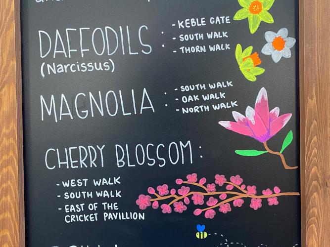 first parks chalk board