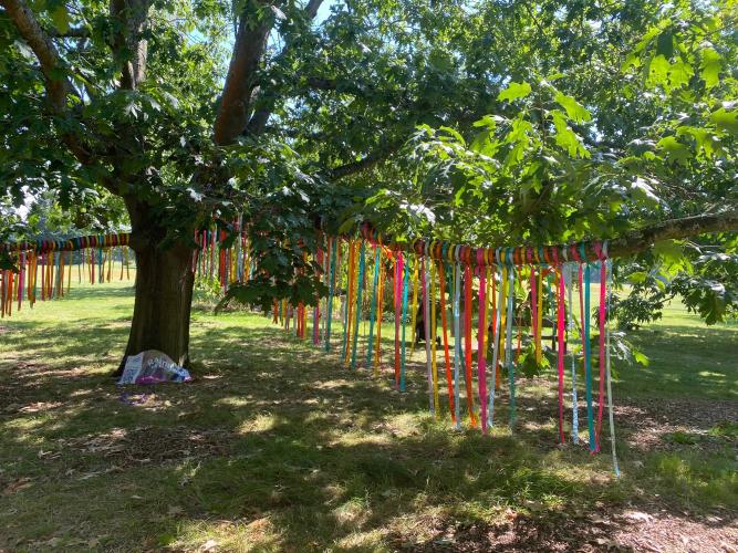 sobell house ribbons