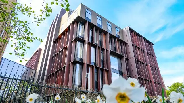 Daffodils in University Parks with the new Beecroft Building in the background
