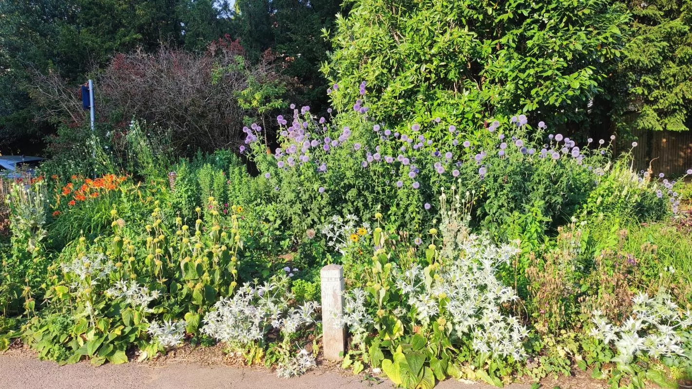 Hayrick Border