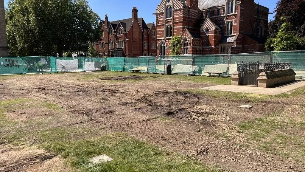 lawn restoration in progress