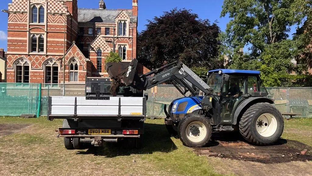 lawn restoration in progress