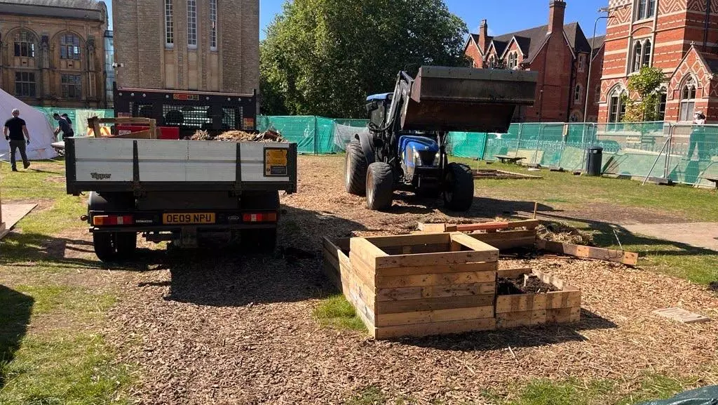 lawn restoration in progress