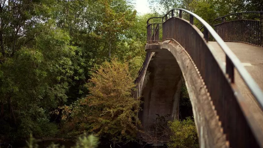 Artistic shot of Rainbow Bridge in University Parks