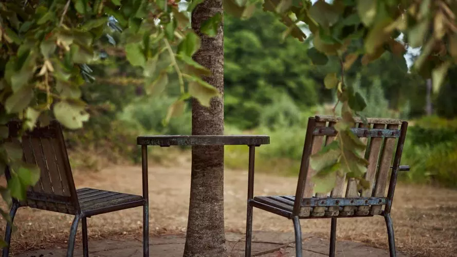 Havels Place in the Parks - two chairs placed either side of a tree