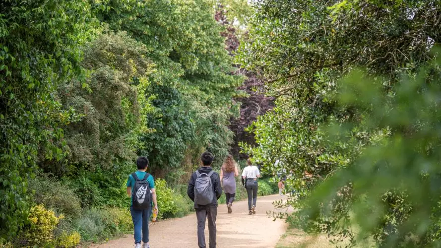 Visitors walking along a tree lined path in University Parks