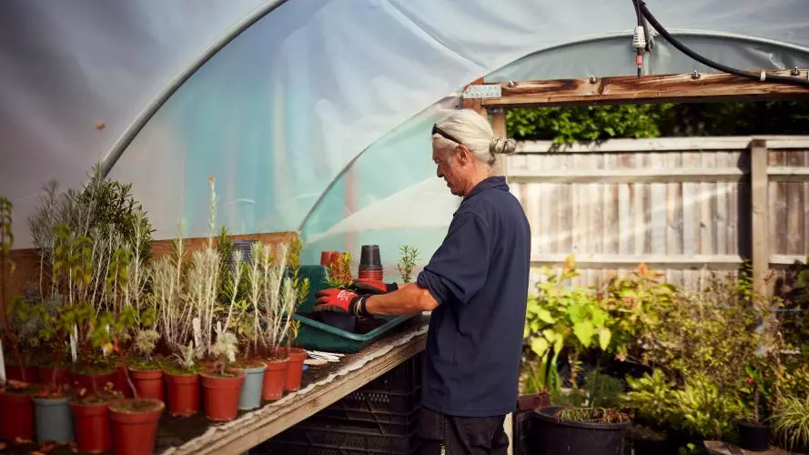 University Parks gardener potting plants