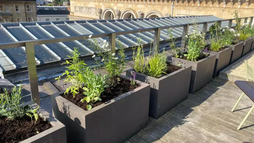 Herb Planter on Roof Garden