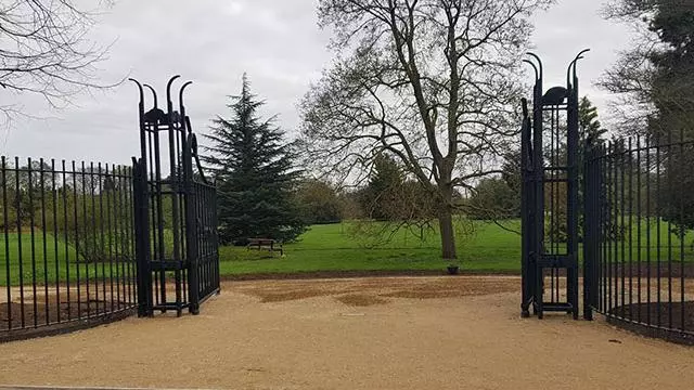 ginko gates