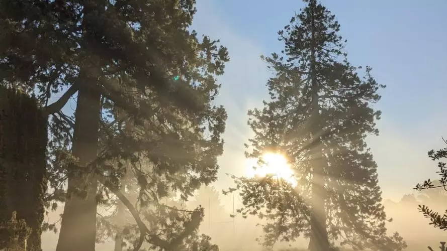 october morning university parks
