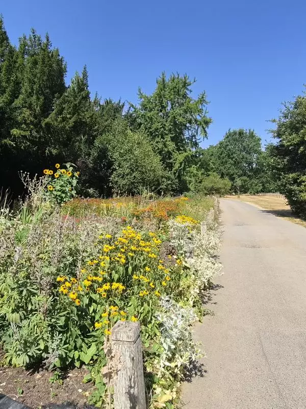 The Hayrick Border at University Parks