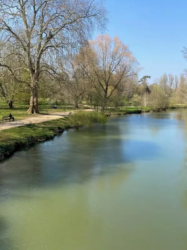 cherwell from high bridge in spring