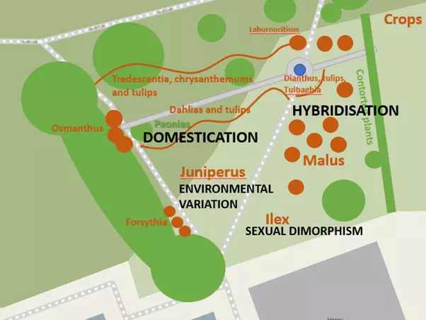 genetic garden new proposed layout
