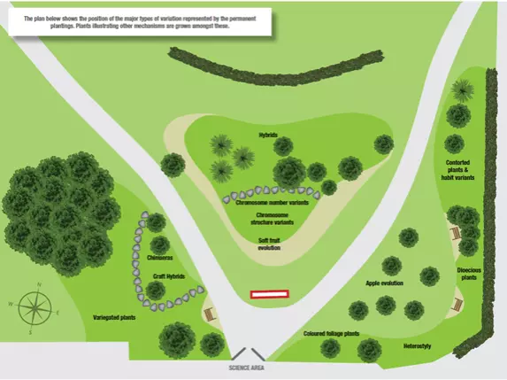 genetic garden revised informal plan