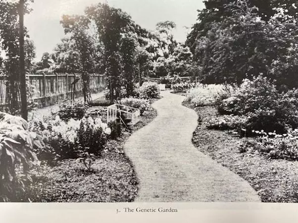 the first genetic garden