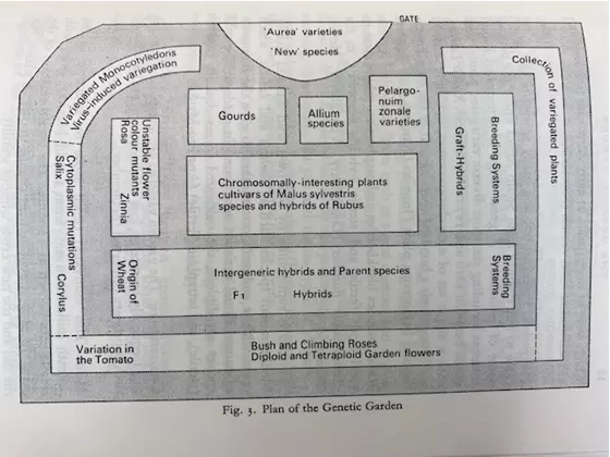 the genetic garden in