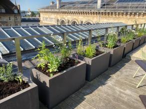 Herb Planter on Roof Garden