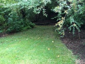 49 Banbury road landscaping - Before