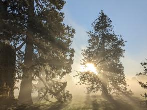 october morning university parks
