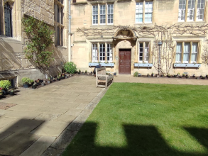 Pots of new plants laid out at Jesus College
