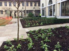 St Cross College landscaping - After