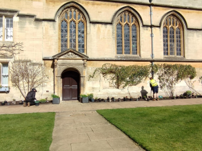 Staff at working planting at Jesus College