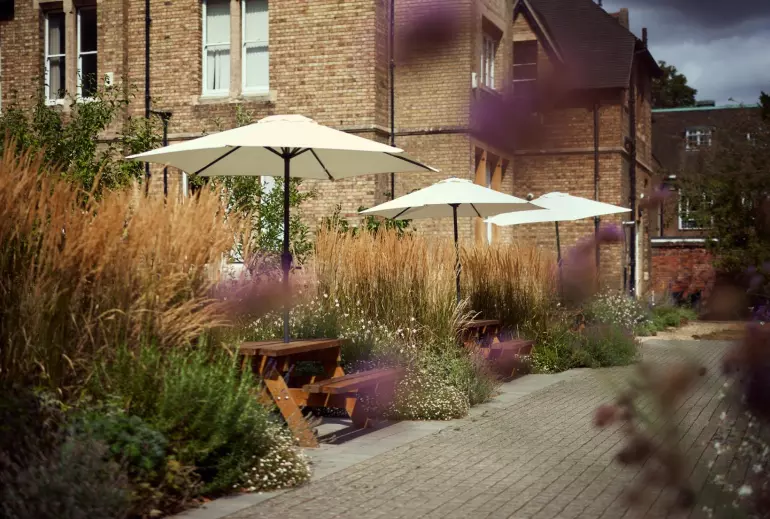 A landscaped courtyard beside a brick building, featuring a paved walkway lined with tall ornamental grasses, flowering plants and wooden picnic benches shaded by large white parasols. Blurred purple flowers frame the foreground, with soft natural light creating a calm garden setting.