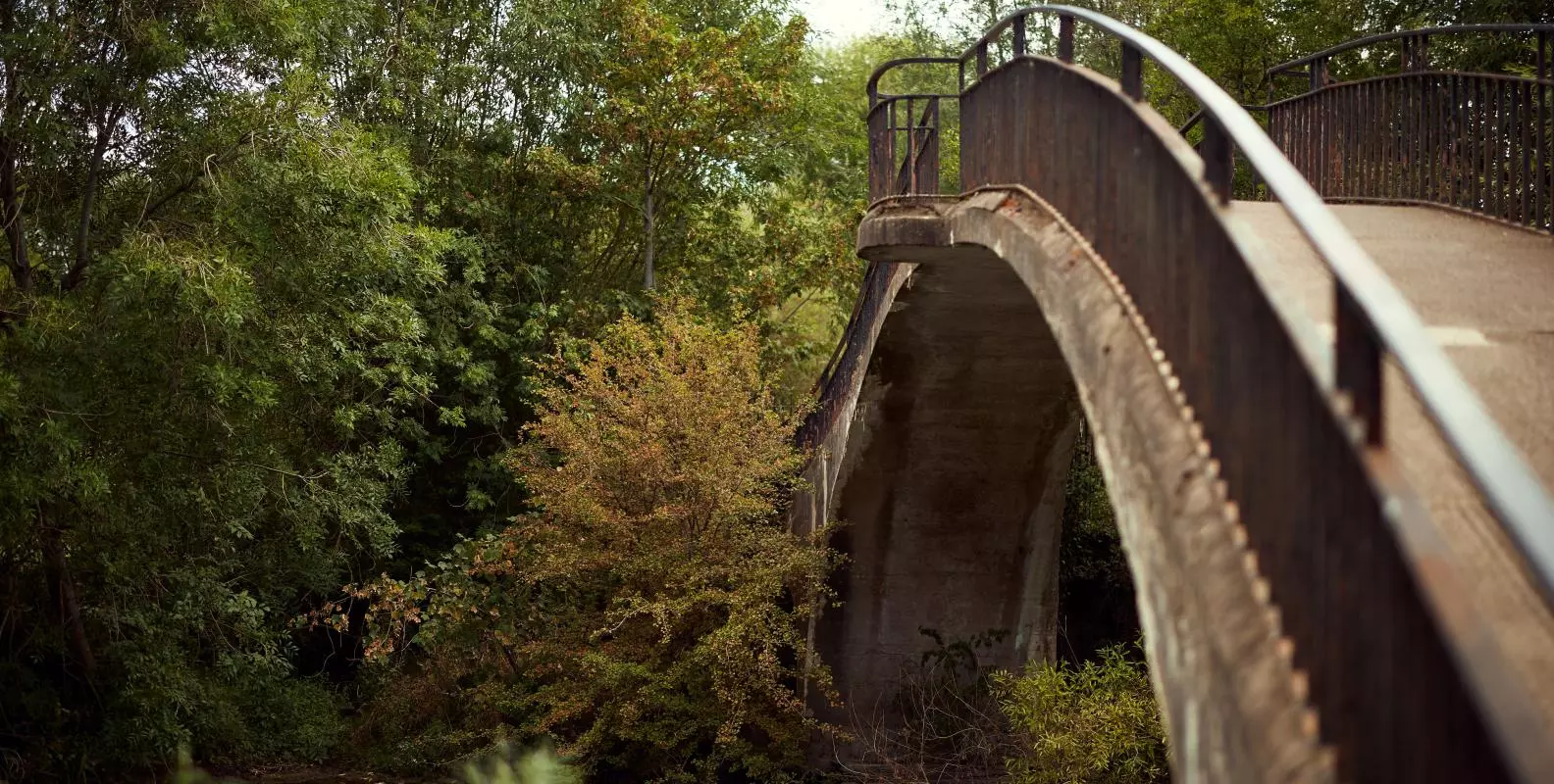Artistic shot of Rainbow Bridge in University Parks