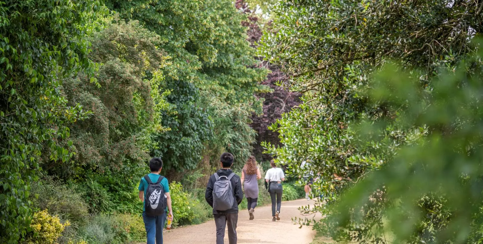 Visitors walking along a tree lined path in University Parks