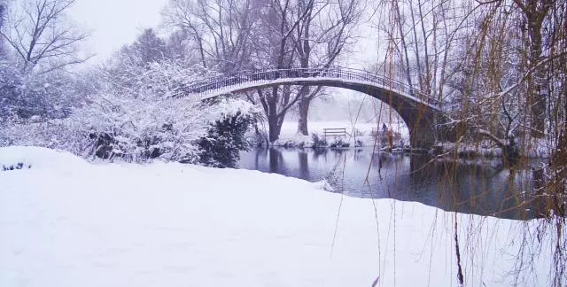 Snowy bridge in University Parks