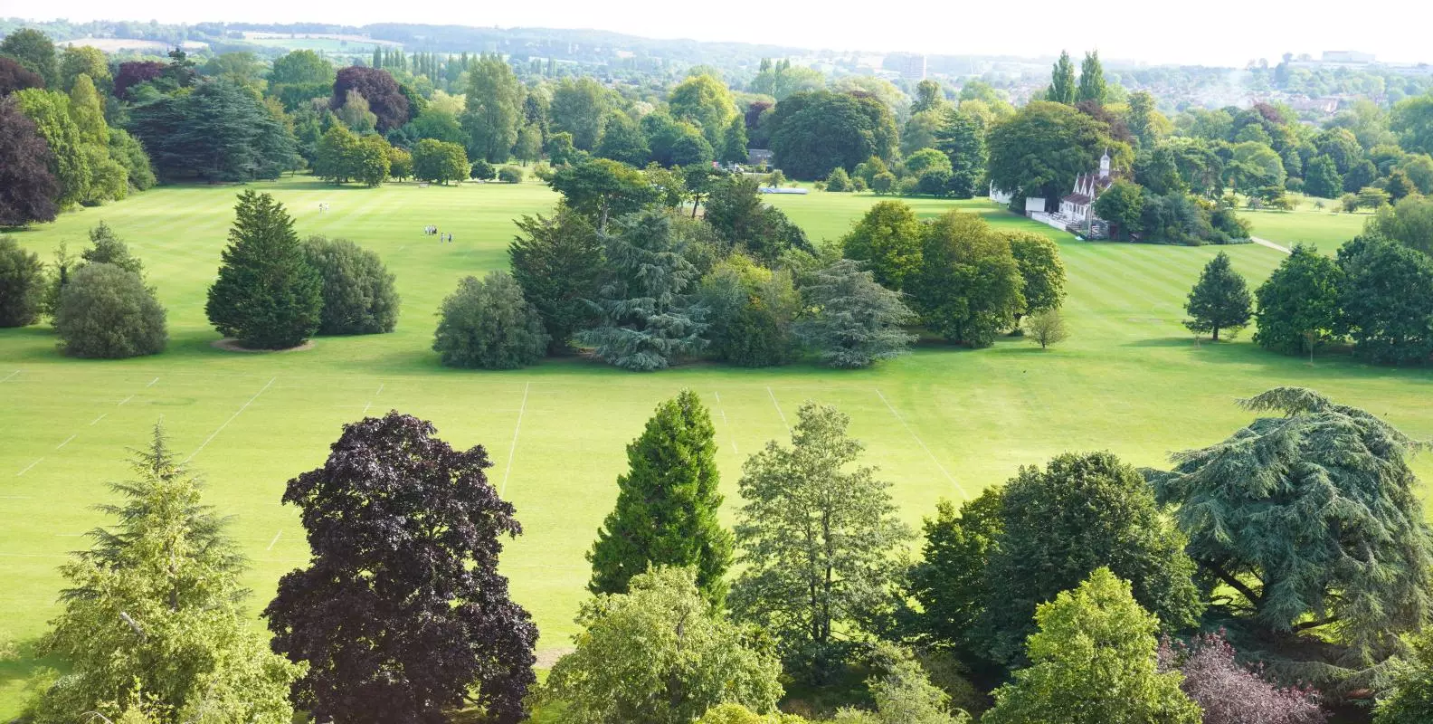 Aerial view of University Parks