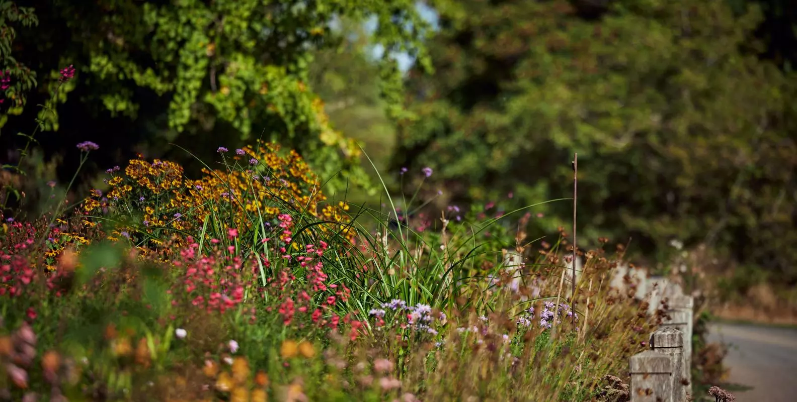 Hayrick Border
