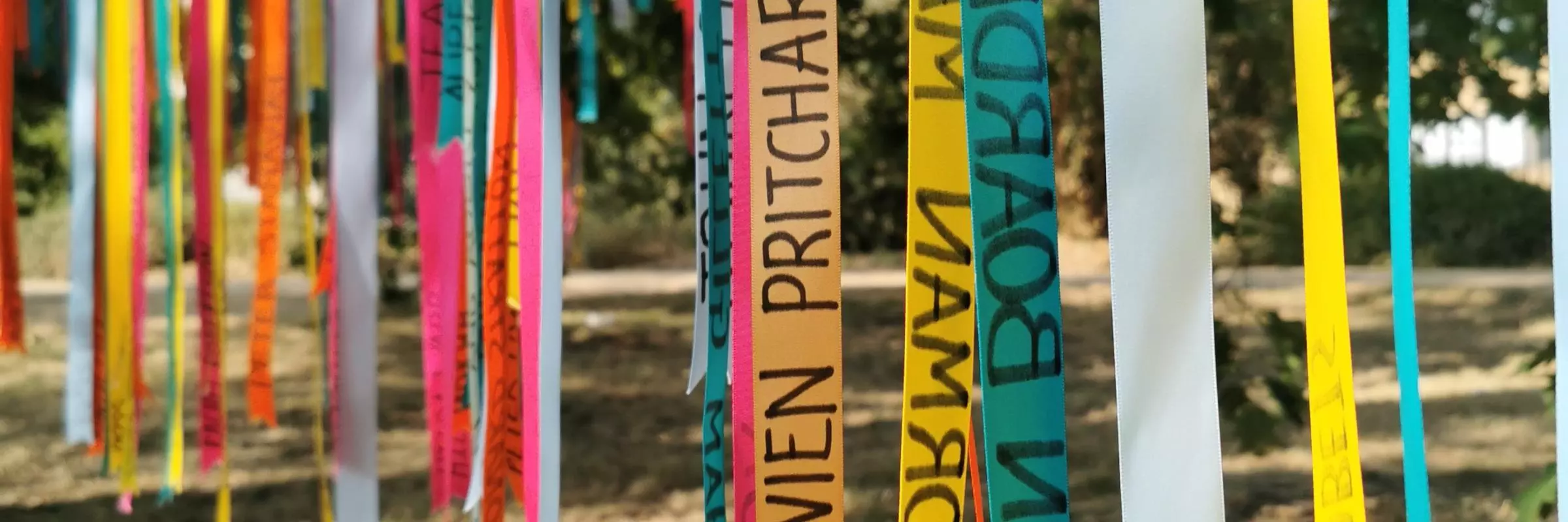 Rainbow Tree of Remembrance in University Parks