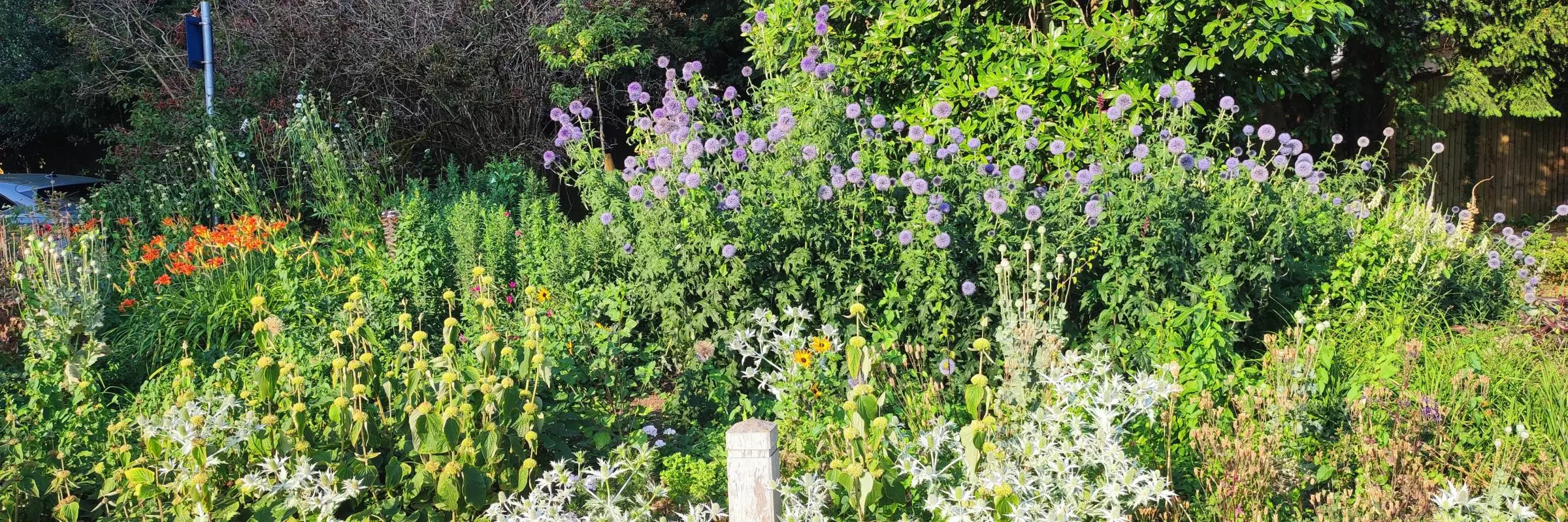 Hayrick Border