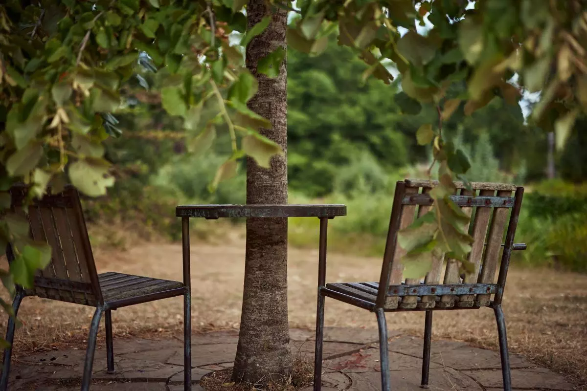 Havels Place in the Parks - two chairs placed either side of a tree