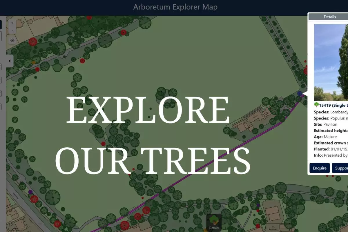 explore our trees