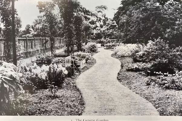the first genetic garden